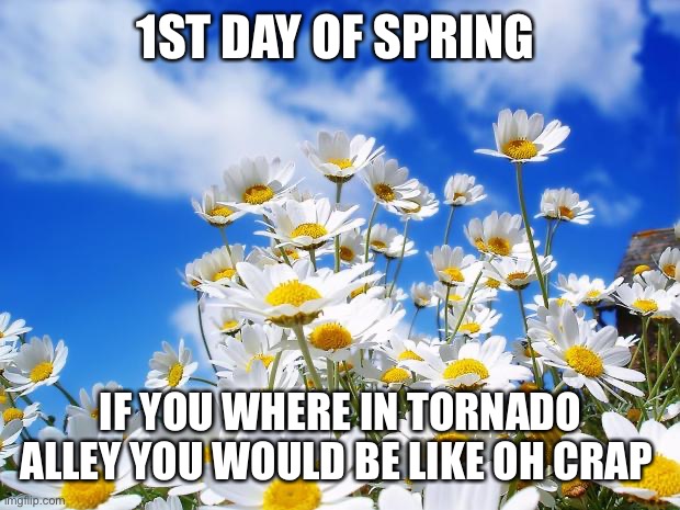 spring daisy flowers | 1ST DAY OF SPRING; IF YOU WHERE IN TORNADO ALLEY YOU WOULD BE LIKE OH CRAP | image tagged in spring daisy flowers | made w/ Imgflip meme maker