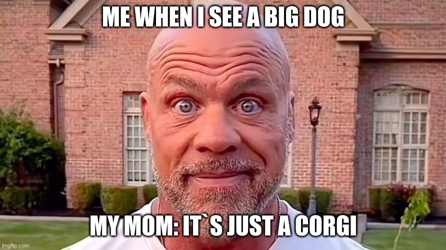 Kurt Angle Stare | ME WHEN I SEE A BIG DOG; MY MOM: IT`S JUST A CORGI | image tagged in kurt angle stare | made w/ Imgflip meme maker