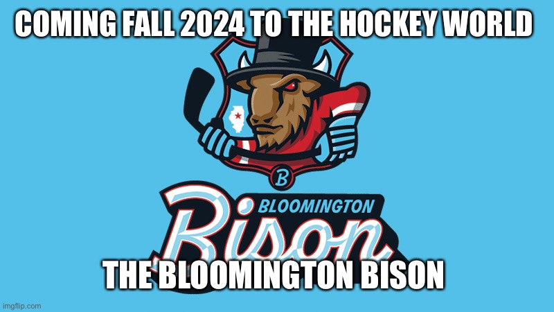 Bison | COMING FALL 2024 TO THE HOCKEY WORLD; THE BLOOMINGTON BISON | image tagged in bison | made w/ Imgflip meme maker