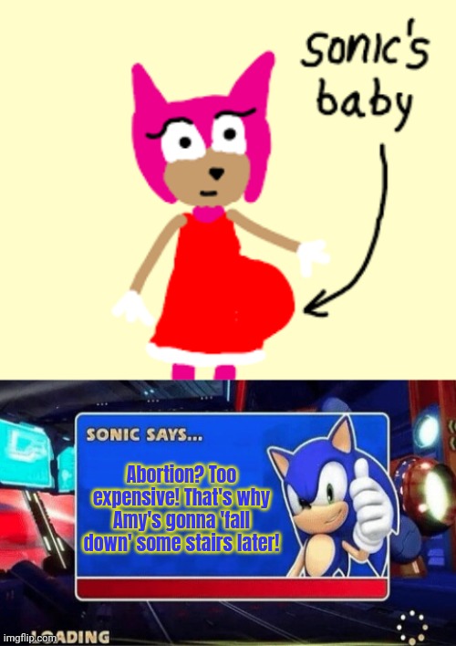 Sonic's pro tips | Abortion? Too expensive! That's why Amy's gonna 'fall down' some stairs later! | image tagged in sonic says,pregnancy,sonic x amy,oops,she fell down the stairs | made w/ Imgflip meme maker