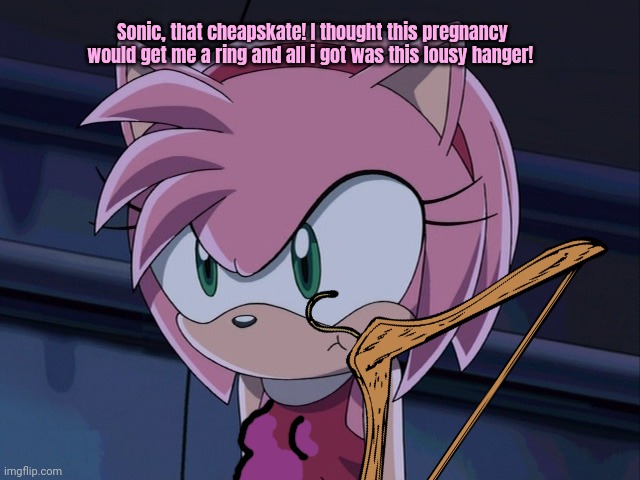 Pro choice lore | Sonic, that cheapskate! I thought this pregnancy would get me a ring and all i got was this lousy hanger! | image tagged in amy rose,abortion,sonic the hedgehog,coat hanger | made w/ Imgflip meme maker