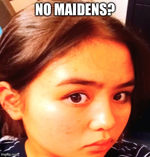 No Maidens? | image tagged in funny | made w/ Imgflip meme maker