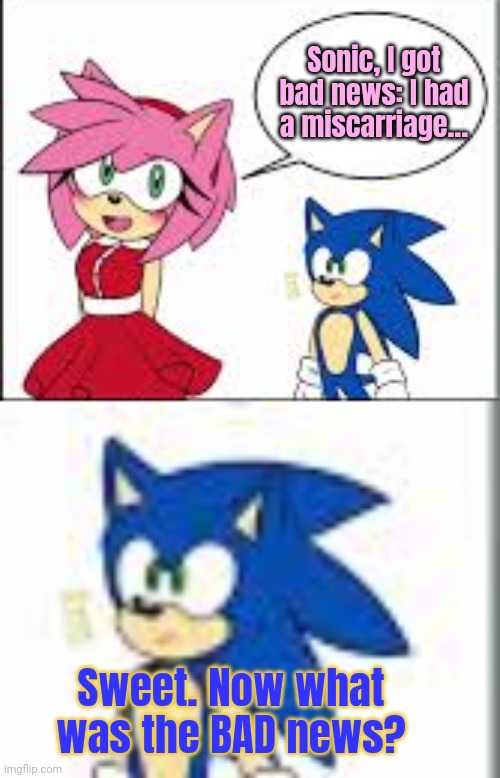 Pregnancy lore | Sonic, I got bad news: I had a miscarriage... Sweet. Now what was the BAD news? | image tagged in amy rose,sonic,pregnancy,lore | made w/ Imgflip meme maker