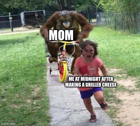 Run! | MOM; ME AT MIDNIGHT AFTER MAKING A GRILLED CHEESE | image tagged in run | made w/ Imgflip meme maker