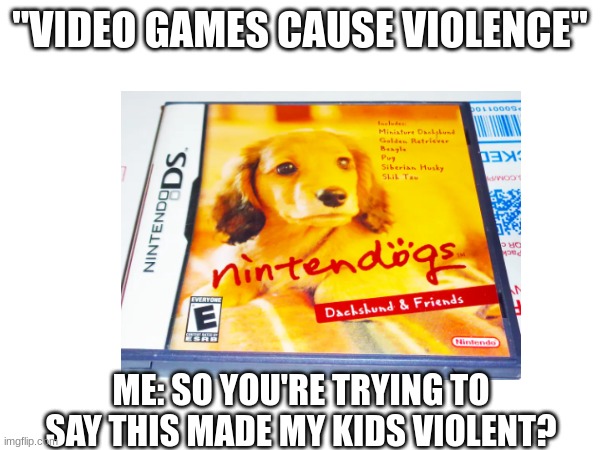 ViDeO gAmEs cAusE ViOlEnCe (note: I don't have kids) | "VIDEO GAMES CAUSE VIOLENCE"; ME: SO YOU'RE TRYING TO SAY THIS MADE MY KIDS VIOLENT? | image tagged in memes,nintendo,video game | made w/ Imgflip meme maker