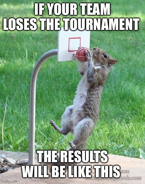 Squirrel basketball | IF YOUR TEAM LOSES THE TOURNAMENT; THE RESULTS WILL BE LIKE THIS | image tagged in squirrel basketball | made w/ Imgflip meme maker