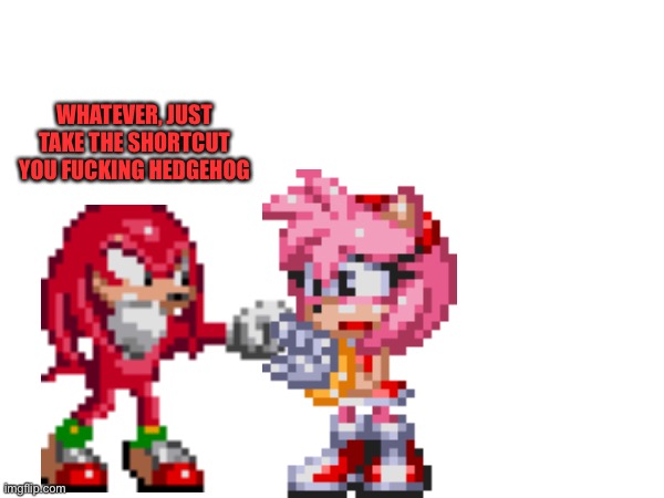 WHATEVER, JUST TAKE THE SHORTCUT YOU FUCKING HEDGEHOG | made w/ Imgflip meme maker