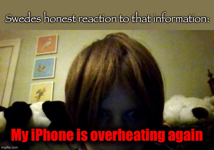 Dang it | My iPhone is overheating again | image tagged in my honest reaction-ty kit for making it into a meme btw | made w/ Imgflip meme maker