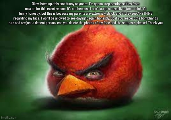 Realistic Red Angry Birds | Okay listen up, this isn’t funny anymore. I’m gonna stop posting selfies from now on for this exact reason. It’s not because I can’t laugh at myself, in fact I think it’s funny honestly, but this is because my parents are extremely strict, and if they see ANYTHING regarding my face, I won’t be allowed to see daylight again honestly. So if you respect the bombhands rule and are just a decent person, can you delete the photos of my face and the shitposts please? Thank you | image tagged in realistic red angry birds | made w/ Imgflip meme maker