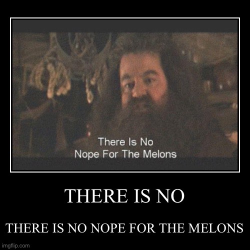THERE IS NO | THERE IS NO NOPE FOR THE MELONS | image tagged in funny,demotivationals | made w/ Imgflip demotivational maker