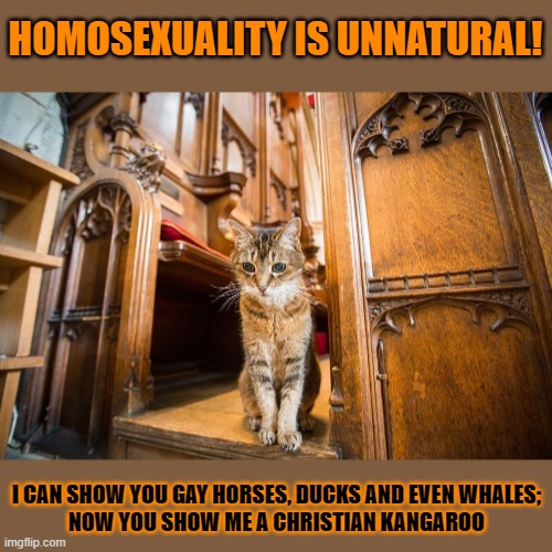 This #lolcat knows homosexuality is more natural than christianity | HOMOSEXUALITY IS UNNATURAL! I CAN SHOW YOU GAY HORSES, DUCKS AND EVEN WHALES;
NOW YOU SHOW ME A CHRISTIAN KANGAROO | image tagged in homophobia,christianity,conservative hypocrisy,lolcat | made w/ Imgflip meme maker