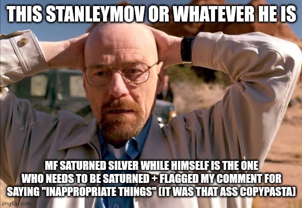 flabbergasted walt | THIS STANLEYMOV OR WHATEVER HE IS; MF SATURNED SILVER WHILE HIMSELF IS THE ONE WHO NEEDS TO BE SATURNED + FLAGGED MY COMMENT FOR SAYING "INAPPROPRIATE THINGS" (IT WAS THAT ASS COPYPASTA) | image tagged in flabbergasted walt | made w/ Imgflip meme maker