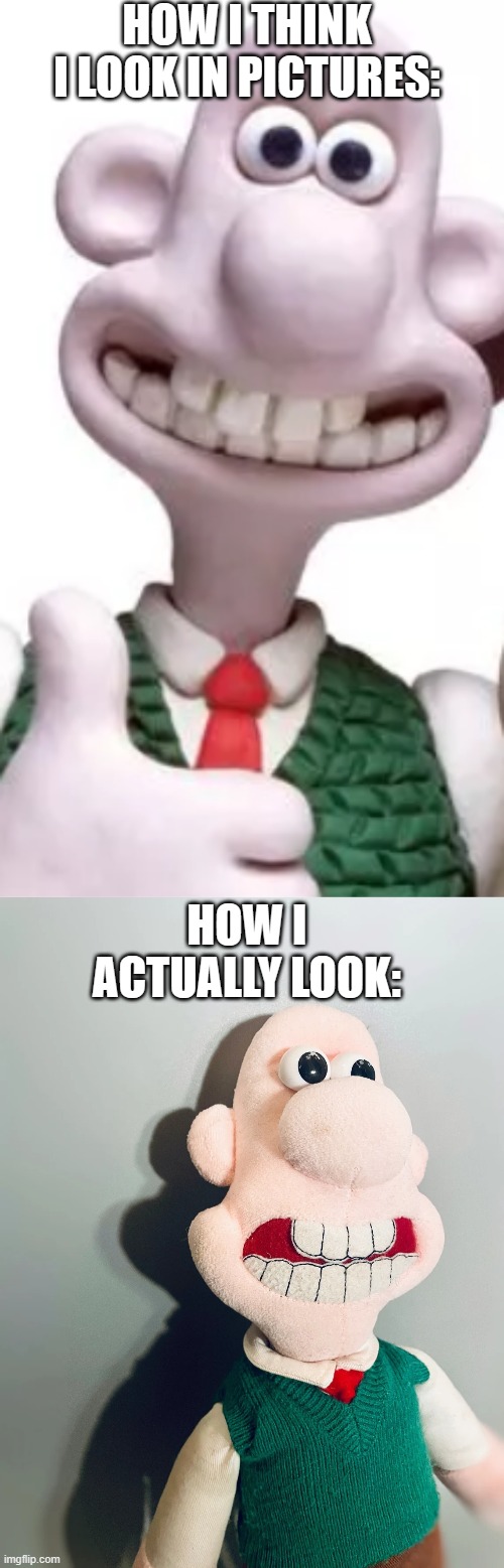 Pictures turned out well... | HOW I THINK I LOOK IN PICTURES:; HOW I ACTUALLY LOOK: | image tagged in photos,wallace and gromit | made w/ Imgflip meme maker