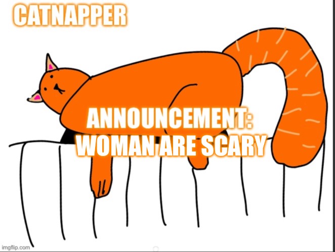 Catnapper anoint temp | WOMAN ARE SCARY | image tagged in catnapper anoint temp | made w/ Imgflip meme maker