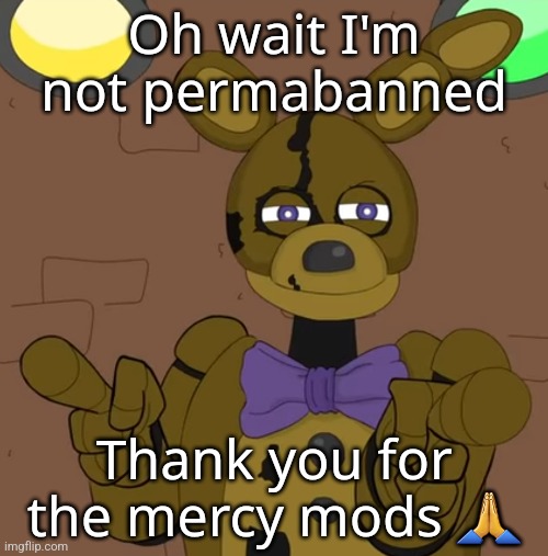 hehehehaw fack u | Oh wait I'm not permabanned; Thank you for the mercy mods 🙏 | image tagged in hehehehaw fack u | made w/ Imgflip meme maker