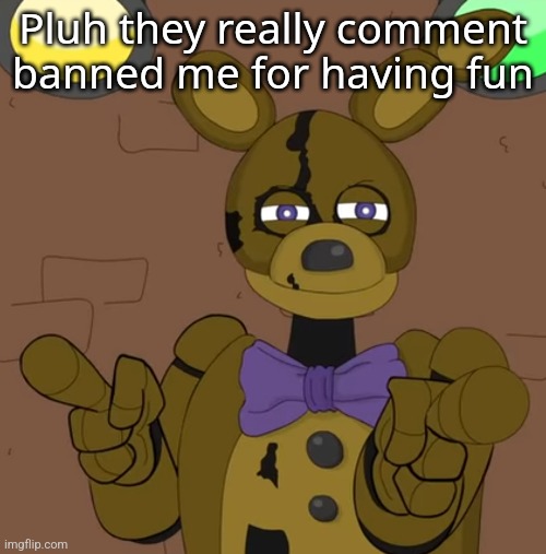 hehehehaw fack u | Pluh they really comment banned me for having fun | image tagged in hehehehaw fack u | made w/ Imgflip meme maker