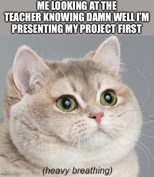 that’s gotta hurt | ME LOOKING AT THE TEACHER KNOWING DAMN WELL I’M PRESENTING MY PROJECT FIRST | image tagged in memes,heavy breathing cat,funny,middle school,relatable | made w/ Imgflip meme maker