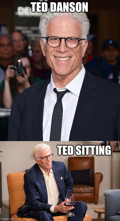 Celebrity puns 2 | TED DANSON; TED SITTING | image tagged in red carpet ted danson,ted talking,funny memes,dad jokes | made w/ Imgflip meme maker