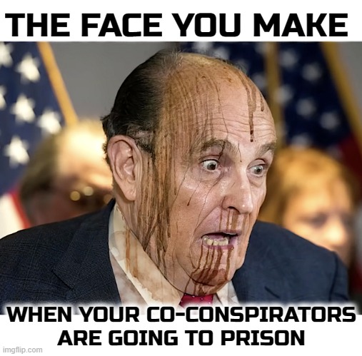 THE FACE YOU MAKE | THE FACE YOU MAKE; WHEN YOUR CO-CONSPIRATORS ARE GOING TO PRISON | image tagged in the face you make,rudy giuliani,criminal,accomplice,prison,co-conspirator | made w/ Imgflip meme maker