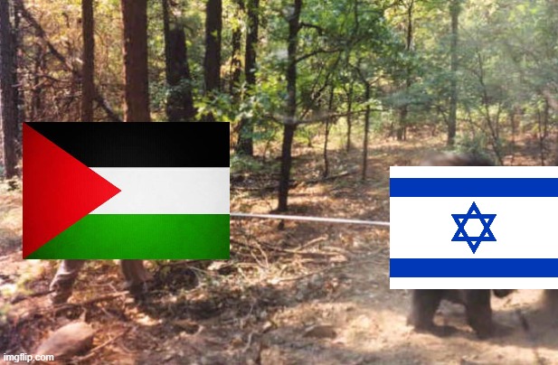 Hamas poked the bear (Israel) and now is suffering from it | image tagged in poking the bear,israel,palestine | made w/ Imgflip meme maker