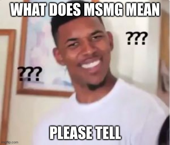 Nick Young | WHAT DOES MSMG MEAN; PLEASE TELL | image tagged in nick young | made w/ Imgflip meme maker