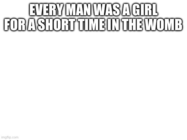 EVERY MAN WAS A GIRL FOR A SHORT TIME IN THE WOMB | made w/ Imgflip meme maker