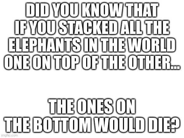 yes. also don't look at the tags | DID YOU KNOW THAT IF YOU STACKED ALL THE ELEPHANTS IN THE WORLD ONE ON TOP OF THE OTHER... THE ONES ON THE BOTTOM WOULD DIE? | image tagged in yes,orange,juice,chinese,sweat,shop | made w/ Imgflip meme maker