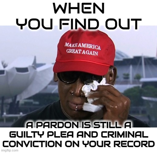 WHEN YOU FIND OUT | WHEN YOU FIND OUT; A PARDON IS STILL A GUILTY PLEA AND CRIMINAL CONVICTION ON YOUR RECORD | image tagged in when you find out,pardon,conviction,guilty plea,criminal record,felony | made w/ Imgflip meme maker