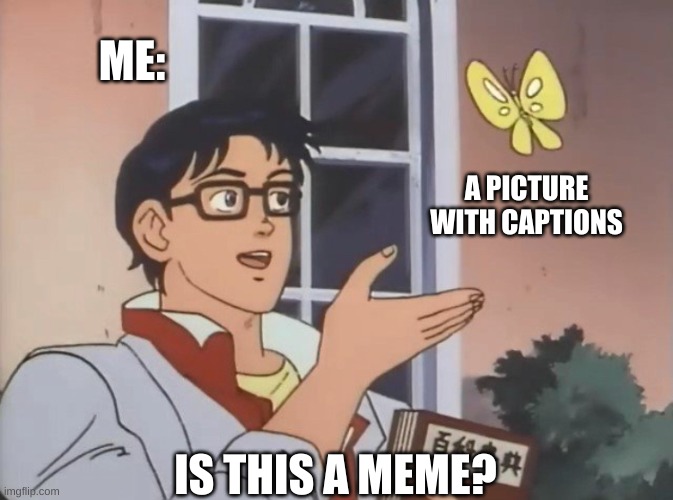 it probably it | ME:; A PICTURE WITH CAPTIONS; IS THIS A MEME? | image tagged in is this a bird,memes | made w/ Imgflip meme maker