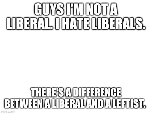 And yes I support LGBTQ people | GUYS I'M NOT A LIBERAL. I HATE LIBERALS. THERE'S A DIFFERENCE BETWEEN A LIBERAL AND A LEFTIST. | made w/ Imgflip meme maker