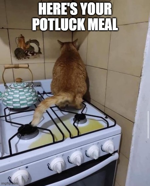 Potluck dinner | HERE'S YOUR POTLUCK MEAL | image tagged in potluck,lunch,gross,hungry,puking | made w/ Imgflip meme maker
