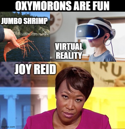 OXYMORONS ARE FUN; JUMBO SHRIMP; VIRTUAL REALITY; JOY REID | made w/ Imgflip meme maker