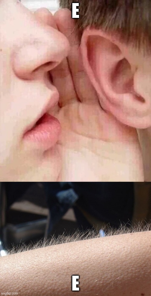 e | E; E | image tagged in whisper in ear goosebumps | made w/ Imgflip meme maker