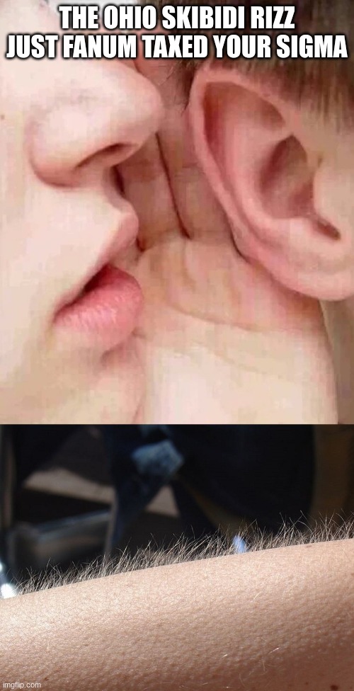 trying to be unfunny | THE OHIO SKIBIDI RIZZ JUST FANUM TAXED YOUR SIGMA | image tagged in whisper in ear goosebumps | made w/ Imgflip meme maker