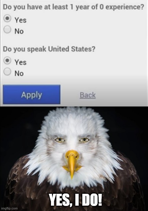 United States? ( mod note: *laughs in gunfire*) | YES, I DO! | image tagged in bald eagle stare | made w/ Imgflip meme maker