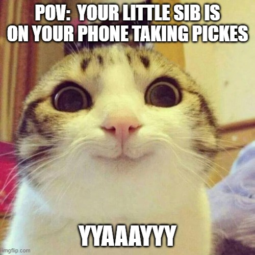 pt.6 | POV:  YOUR LITTLE SIB IS ON YOUR PHONE TAKING PICKES; YYAAAYYY | image tagged in memes,smiling cat | made w/ Imgflip meme maker