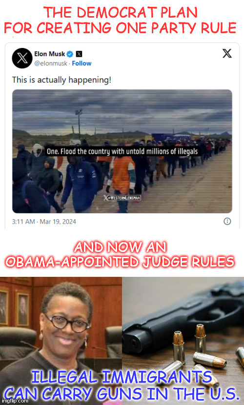 Thank you Elon Musk for exposing the truth | THE DEMOCRAT PLAN FOR CREATING ONE PARTY RULE; AND NOW AN OBAMA-APPOINTED JUDGE RULES; ILLEGAL IMMIGRANTS CAN CARRY GUNS IN THE U.S. | image tagged in elon musk,exposed,democrat plan,one party rule | made w/ Imgflip meme maker