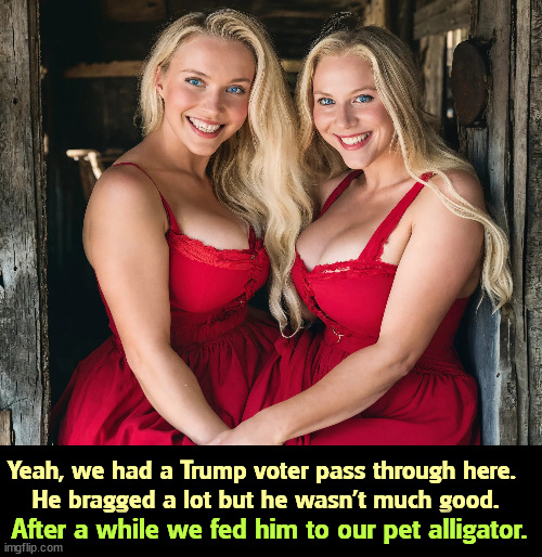 Not up to the occasion. | Yeah, we had a Trump voter pass through here. 
He bragged a lot but he wasn't much good. After a while we fed him to our pet alligator. | image tagged in trump,bragging,after all why not | made w/ Imgflip meme maker