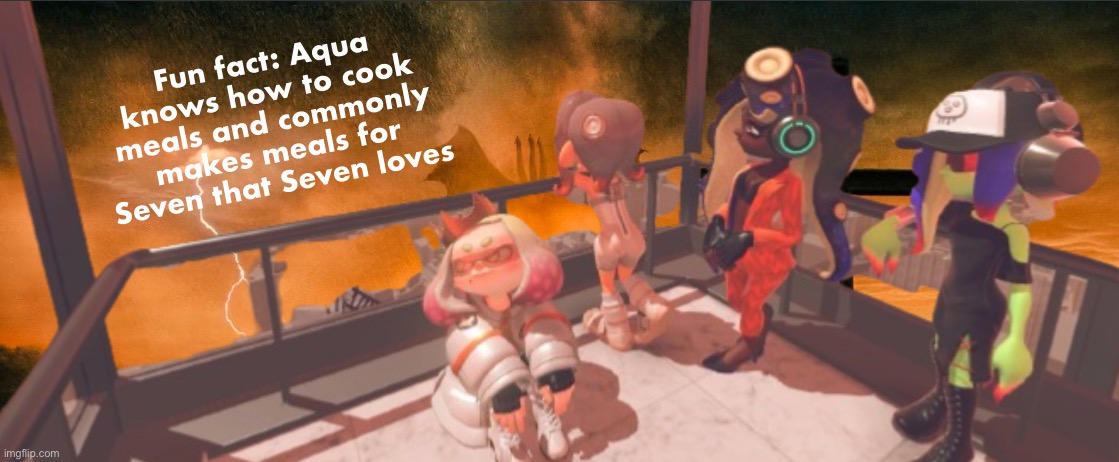 Splatoon 3: False Order expansion | Fun fact: Aqua knows how to cook meals and commonly makes meals for Seven that Seven loves | image tagged in splatoon 3 false order expansion | made w/ Imgflip meme maker