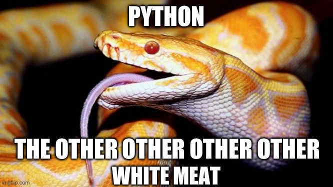 I guess it’s better than insects. | PYTHON; THE OTHER OTHER OTHER OTHER; WHITE MEAT | image tagged in snakes,politics,funny memes,stupid liberals,nasty food | made w/ Imgflip meme maker