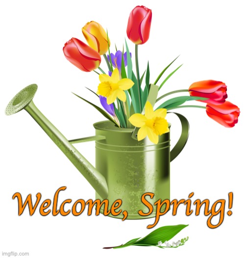 Hello, Spring | Welcome, Spring! | image tagged in spring,tulips | made w/ Imgflip meme maker