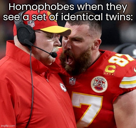 Travis Kelce screaming | Homophobes when they see a set of identical twins: | image tagged in travis kelce screaming | made w/ Imgflip meme maker