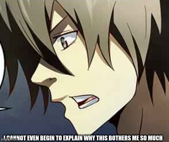 dude whyyyyyy | I CANNOT EVEN BEGIN TO EXPLAIN WHY THIS BOTHERS ME SO MUCH | image tagged in anime,angry,ughh | made w/ Imgflip meme maker