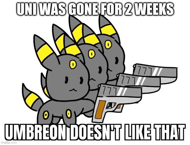 hi :´3 | UNI WAS GONE FOR 2 WEEKS | image tagged in umbreon dosent like that | made w/ Imgflip meme maker