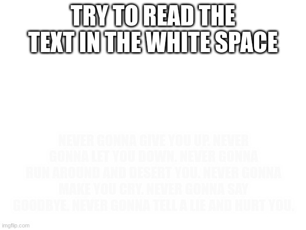 Try to read it | TRY TO READ THE TEXT IN THE WHITE SPACE; NEVER GONNA GIVE YOU UP. NEVER GONNA LET YOU DOWN. NEVER GONNA RUN AROUND AND DESERT YOU. NEVER GONNA MAKE YOU CRY. NEVER GONNA SAY GOODBYE. NEVER GONNA TELL A LIE AND HURT YOU. | image tagged in memes,blank white template | made w/ Imgflip meme maker