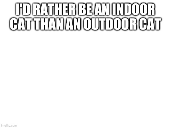 I'D RATHER BE AN INDOOR CAT THAN AN OUTDOOR CAT | made w/ Imgflip meme maker