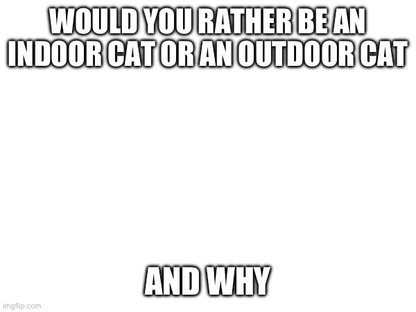 WOULD YOU RATHER BE AN INDOOR CAT OR AN OUTDOOR CAT; AND WHY | made w/ Imgflip meme maker