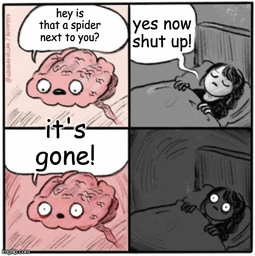 where did it go? | yes now shut up! hey is that a spider next to you? it's gone! | image tagged in brain before sleep | made w/ Imgflip meme maker