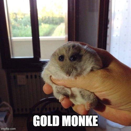 The Original hampter | GOLD MONKE | image tagged in the original hampter | made w/ Imgflip meme maker