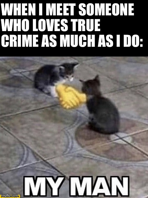 Cats shaking hands | WHEN I MEET SOMEONE WHO LOVES TRUE CRIME AS MUCH AS I DO: | image tagged in cats shaking hands | made w/ Imgflip meme maker